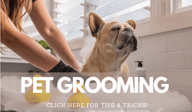 Click here to view Wahl Pet Grooming Tutorials